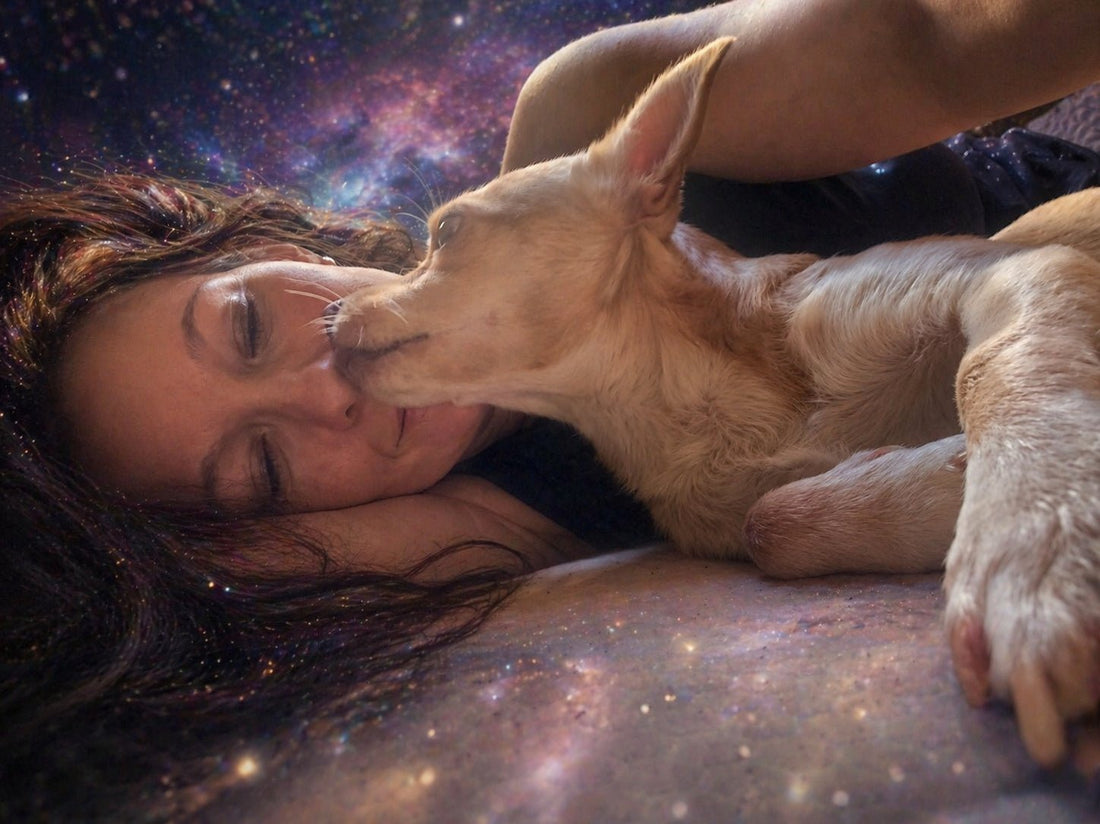 They Were Never Just Animals - Rebecca Papillon