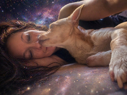 They Were Never Just Animals - Rebecca Papillon